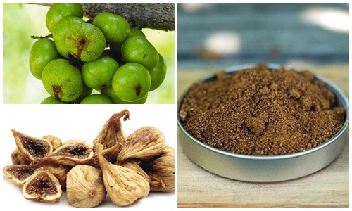 Trái sung được phơi khô uống hằng ngày 
